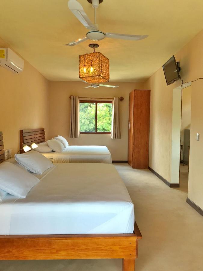 Junior Suite with Terrace