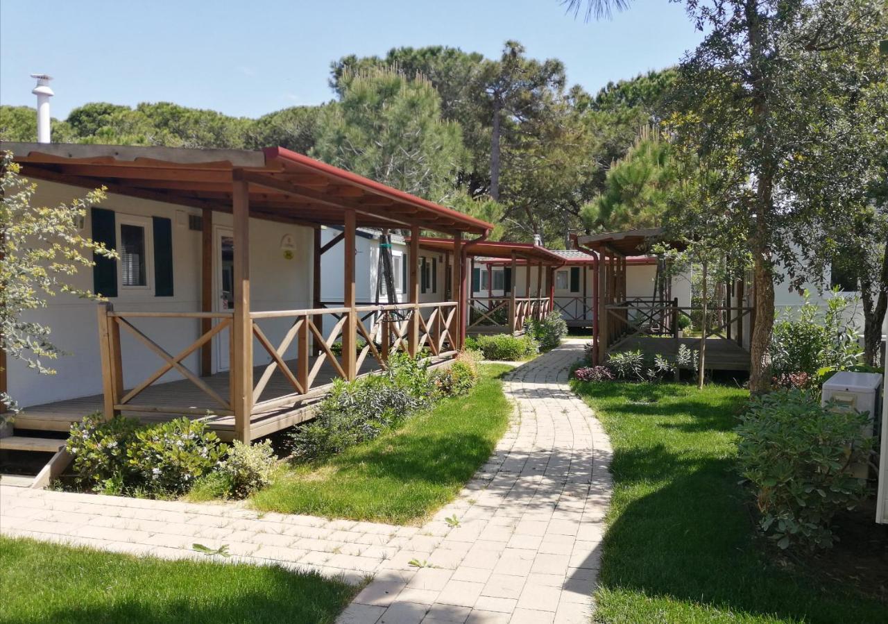 Deluxe Mobile Home (4 Adults),1080933130:JPEG