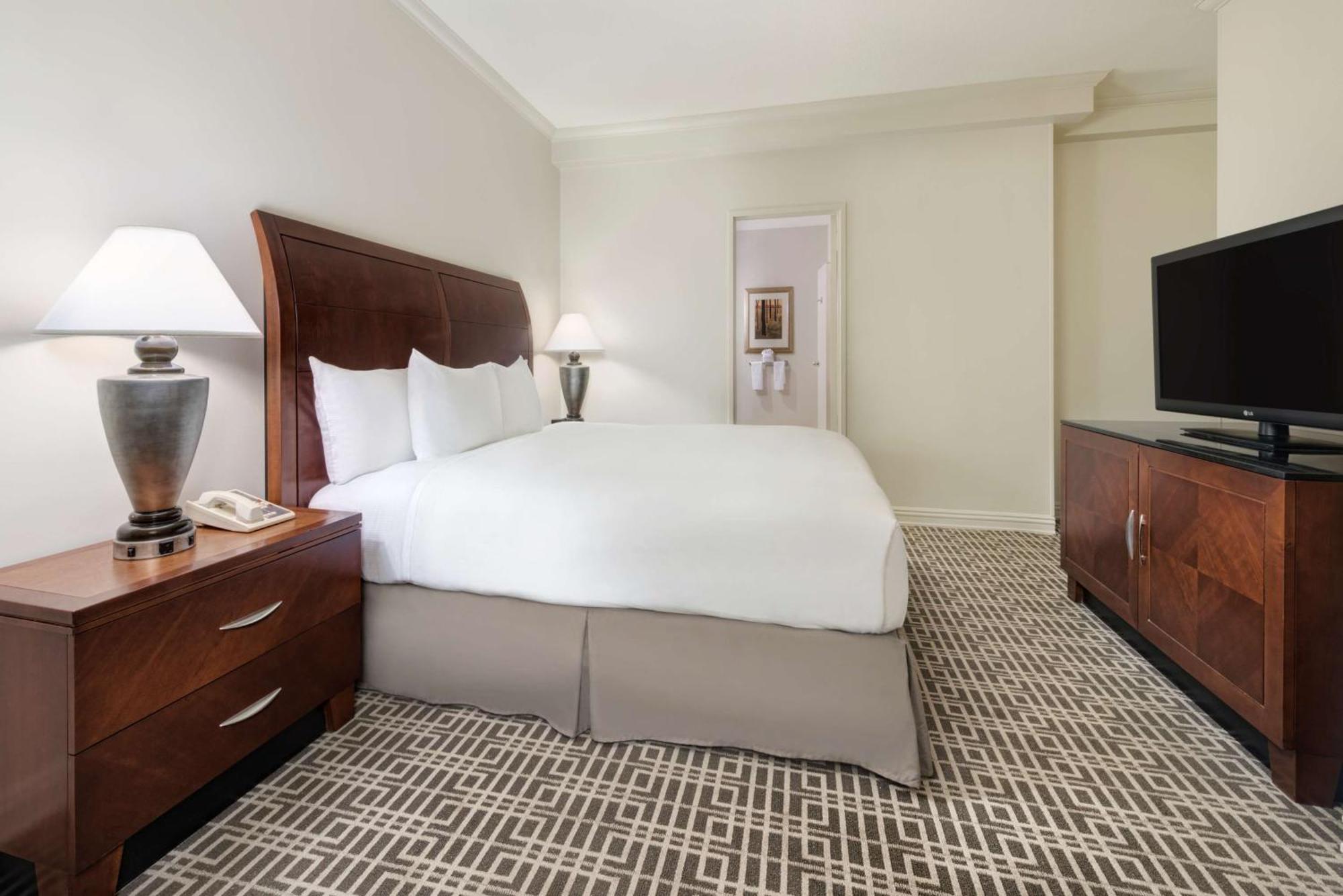 Suite de 1 dormitorio - 1 cama extragrande