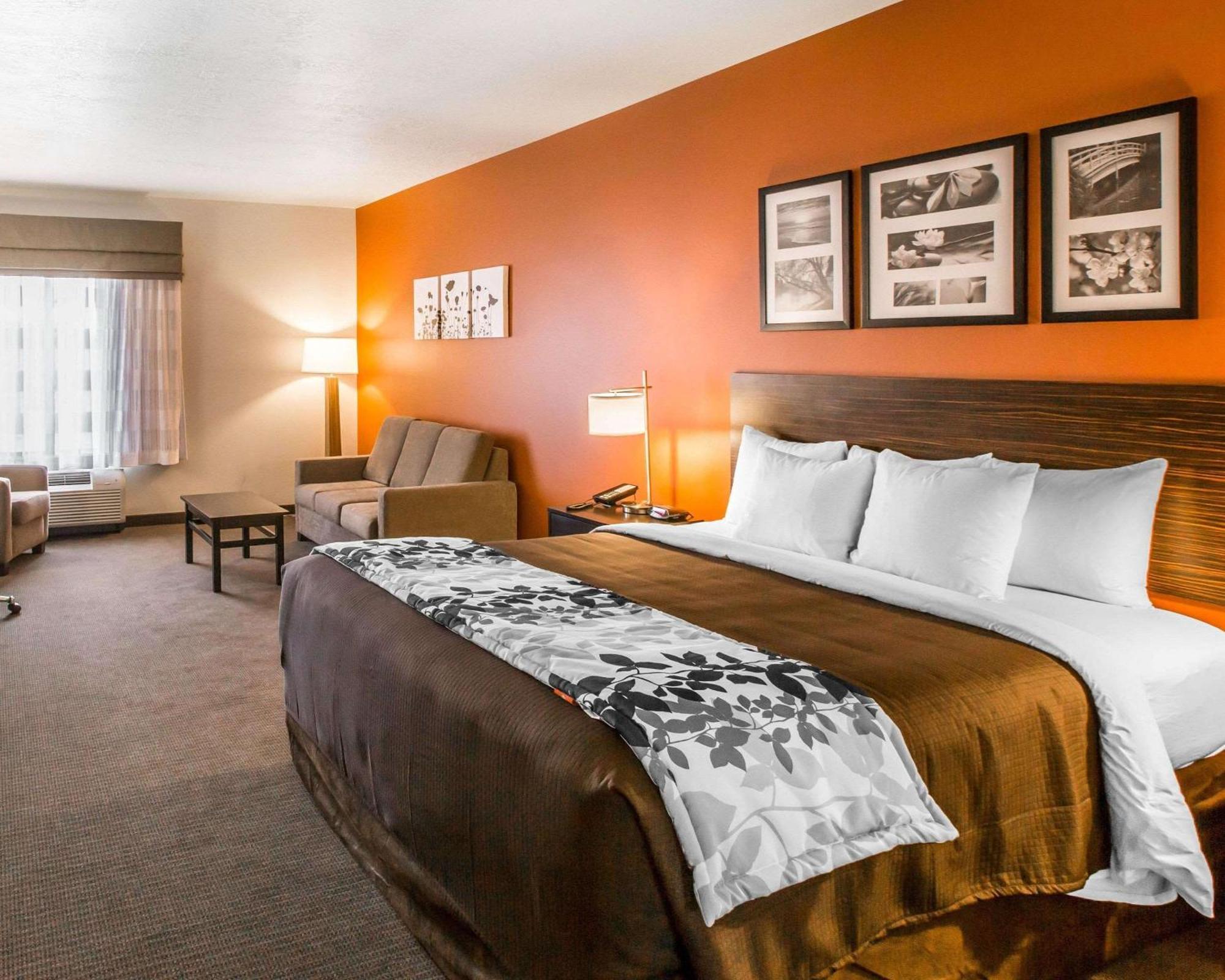 Junior Suite with King Bed - Non Smoking,1283264143:JPEG