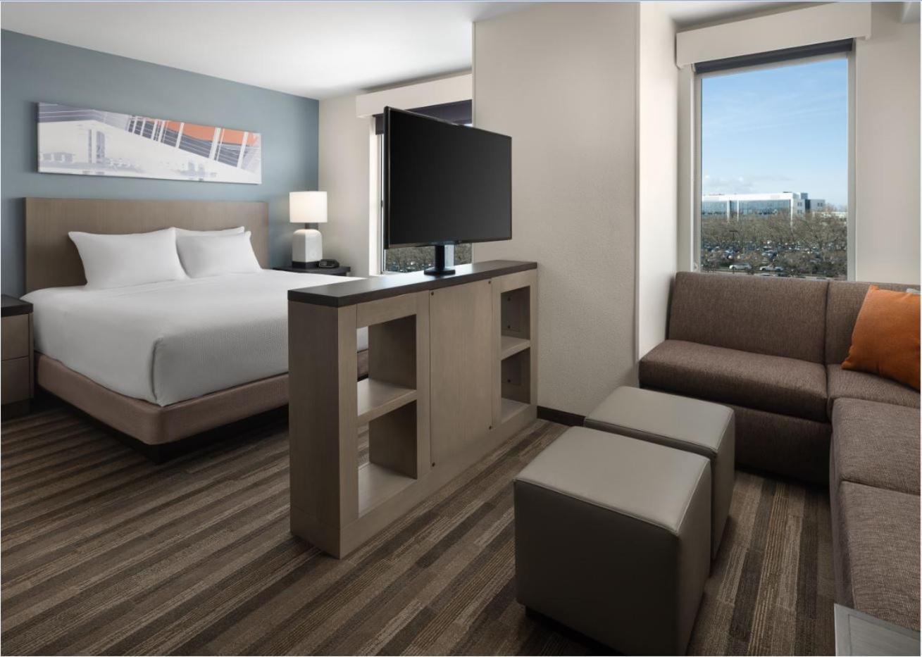 King Studio Suite with Kitchen and Sofa Bed