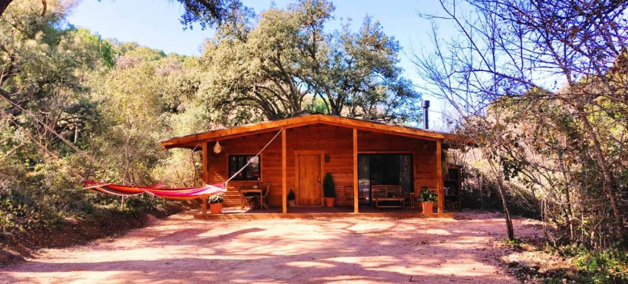 Two-Bedroom House,1367998694:JPEG