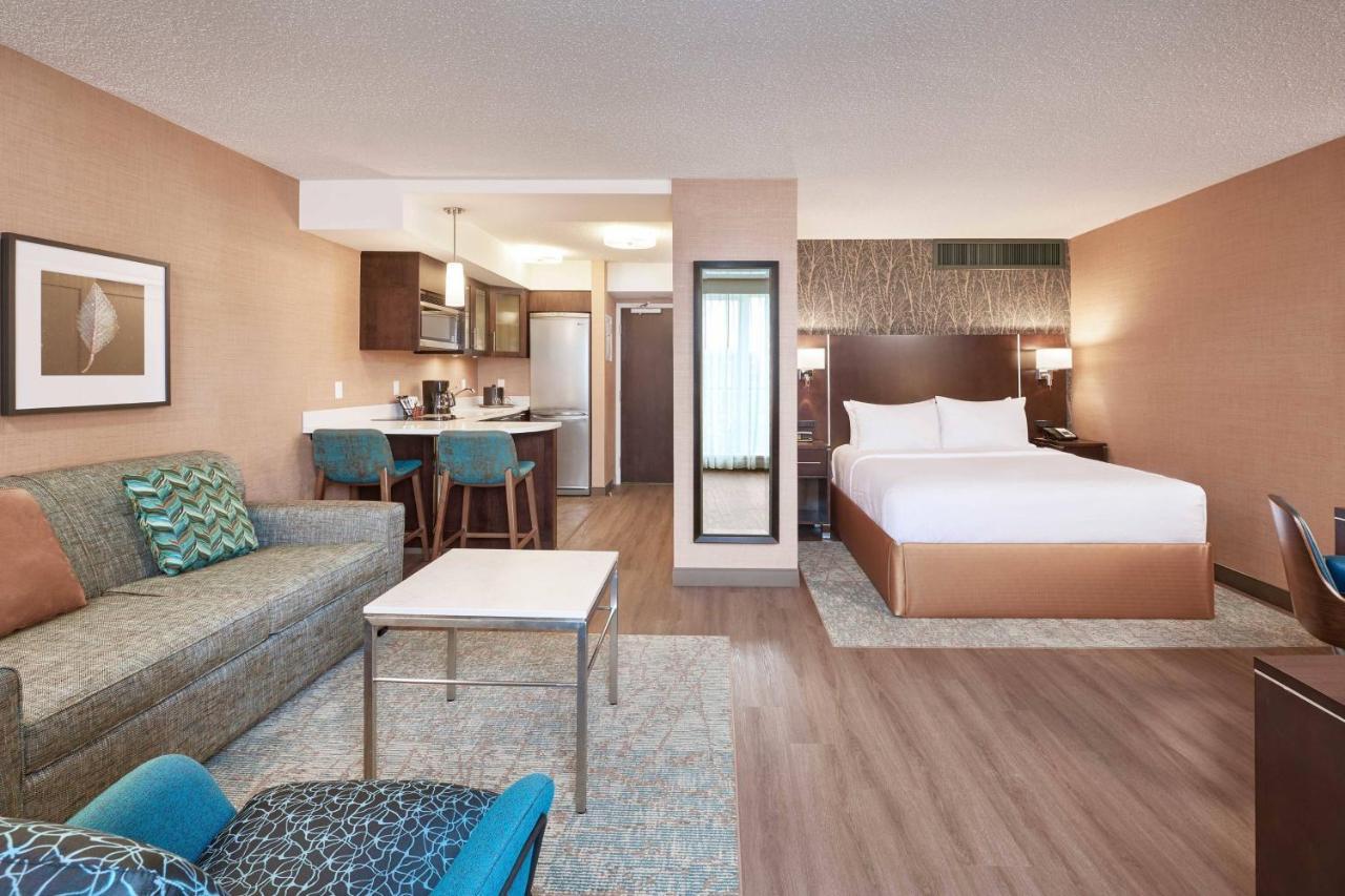 Studio Suite 1 Queen Bed 1 Sofa Bed