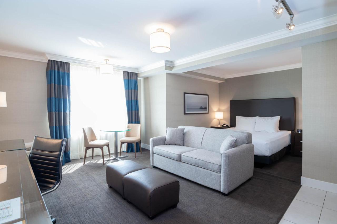 Studio Suite 1 King Bed Sofa Bed Kitchenette,1417010403:JPEG