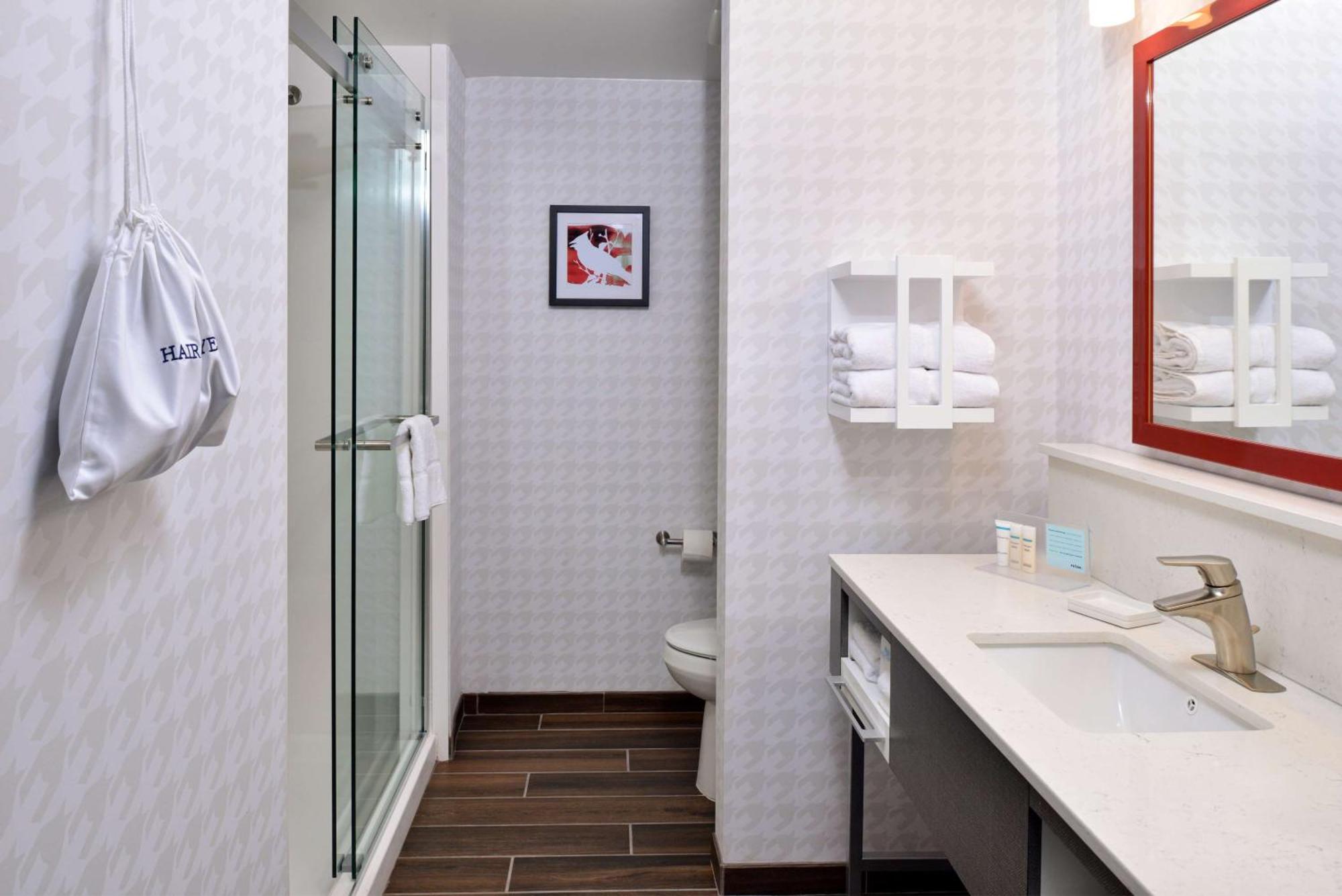 King Room Roll Shower Mobility Hearing Access or Non-Smoking,1500157600:JPEG