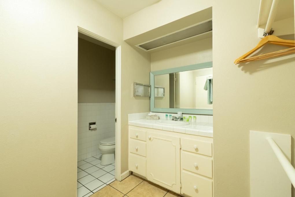 Studio Two Queens - Pet Friendly,1580162510:JPEG