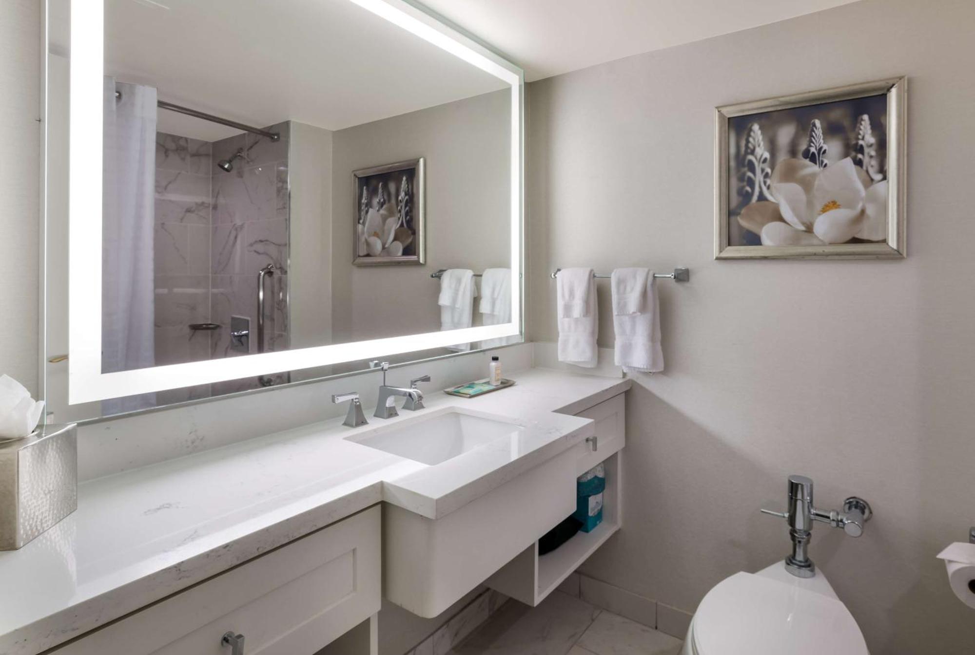 Two Doubles Mobility Accessible Roll Shower