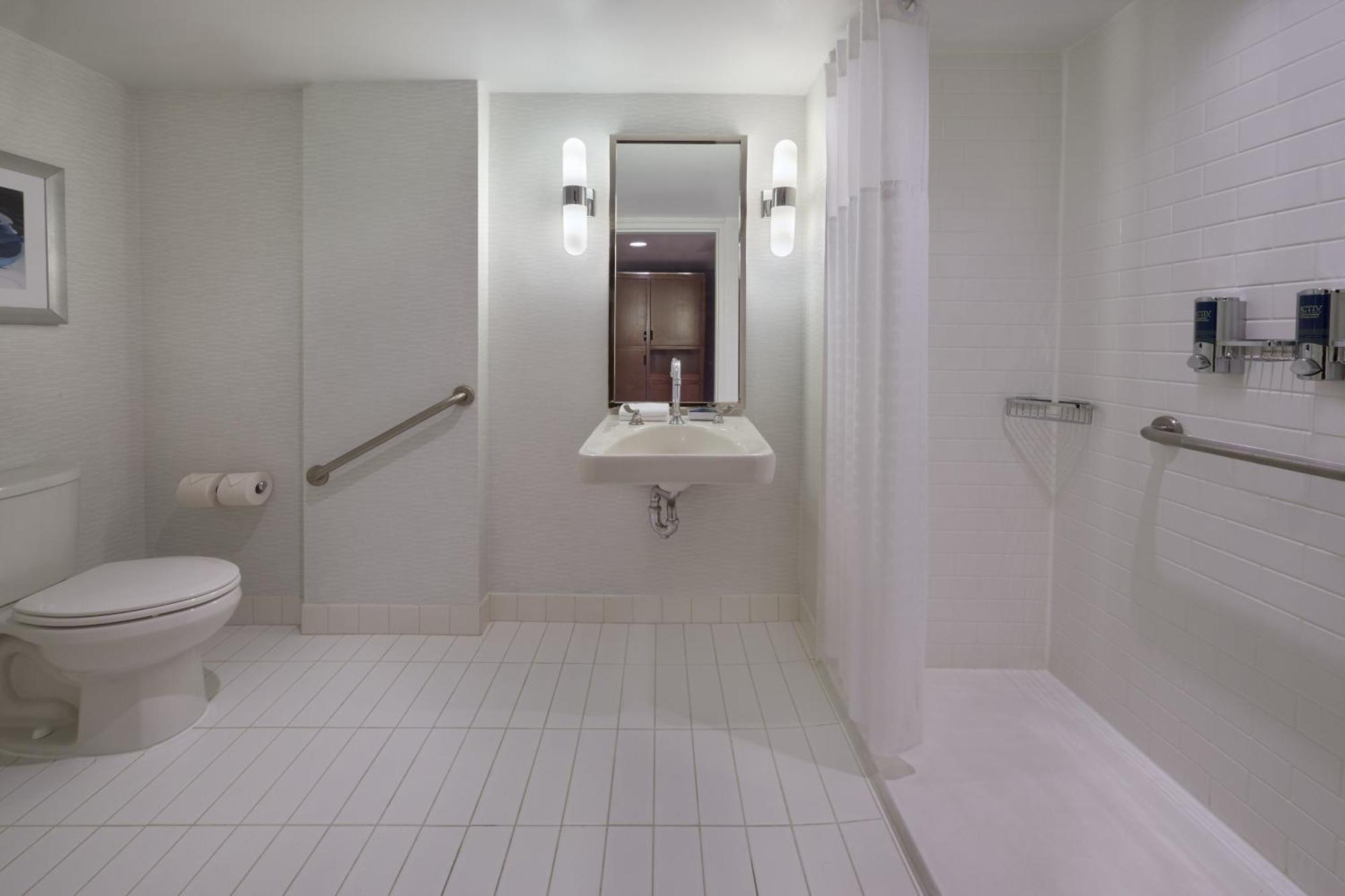 Traditional, Guest room, 1 King