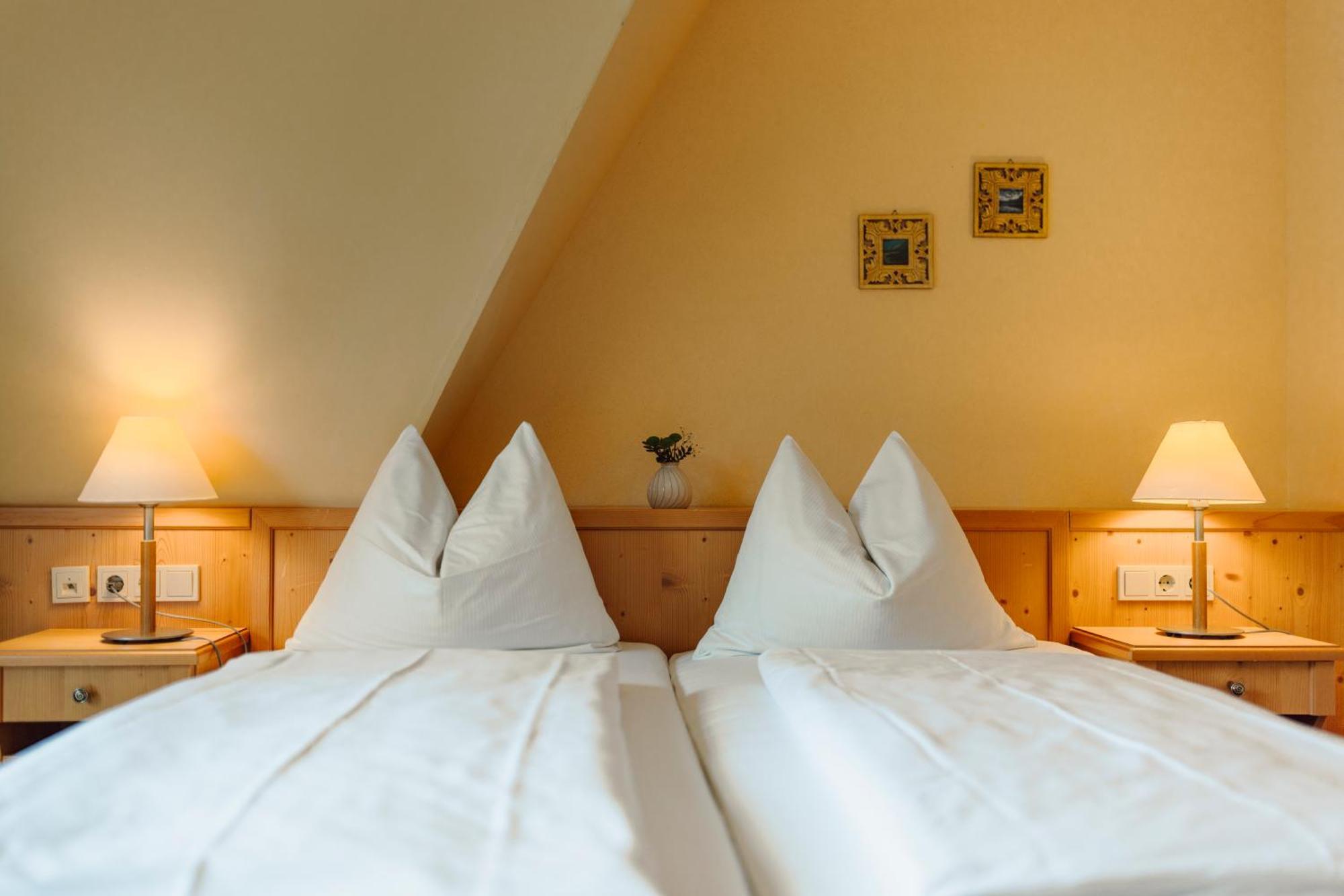 Double Room Mountain View