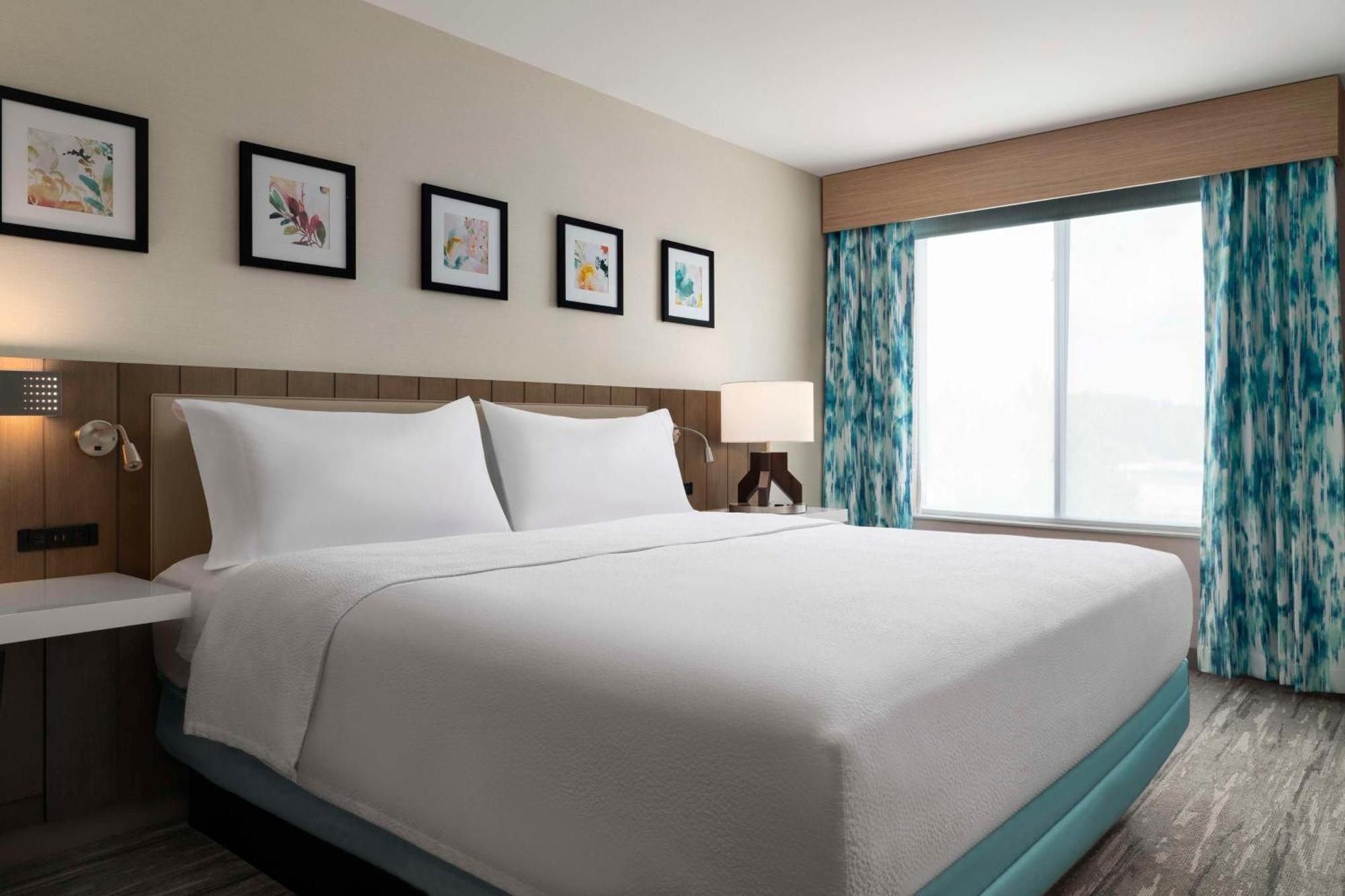 Executive Suite with One King Bed and Sofa Bed,1709953673:JPEG