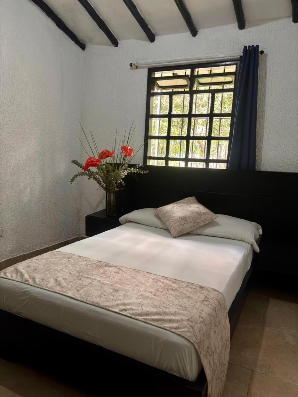 Economy Single Room