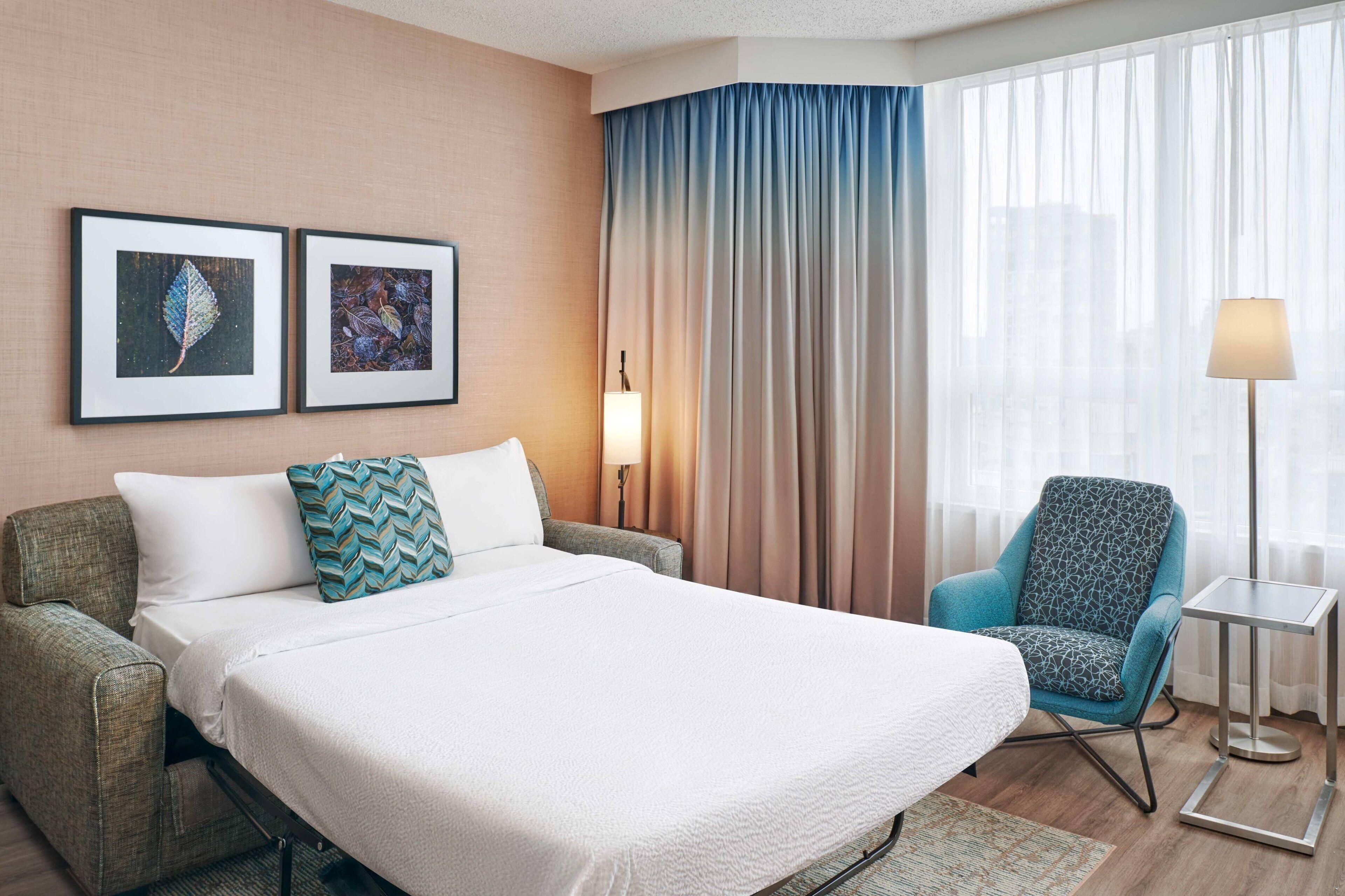 Studio Suite 1 Queen Bed 1 Sofa Bed