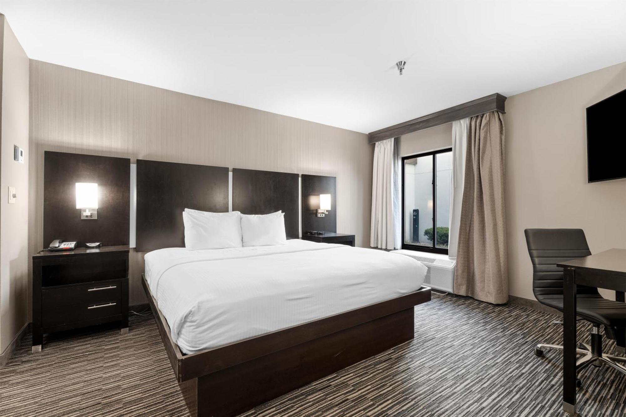 One-Bedroom King Suite Kitchenette Non-Smoking