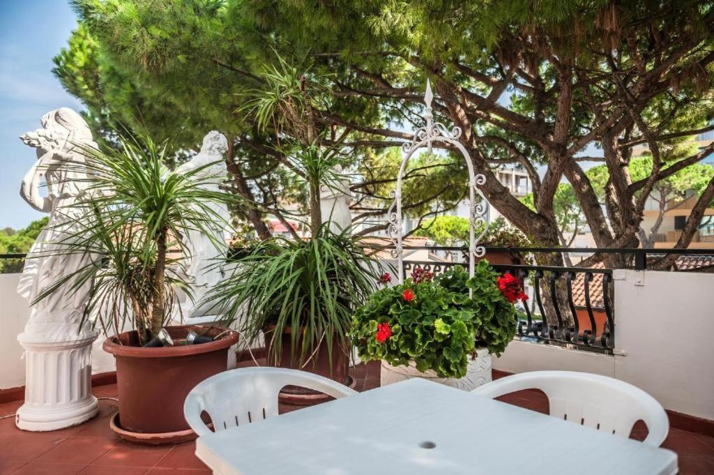 Quadruple Room Terrace