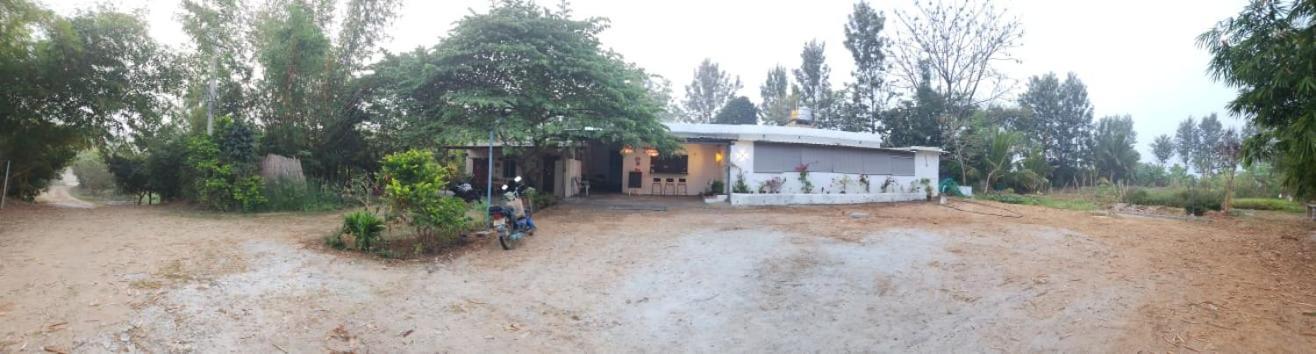 Double Room Park View