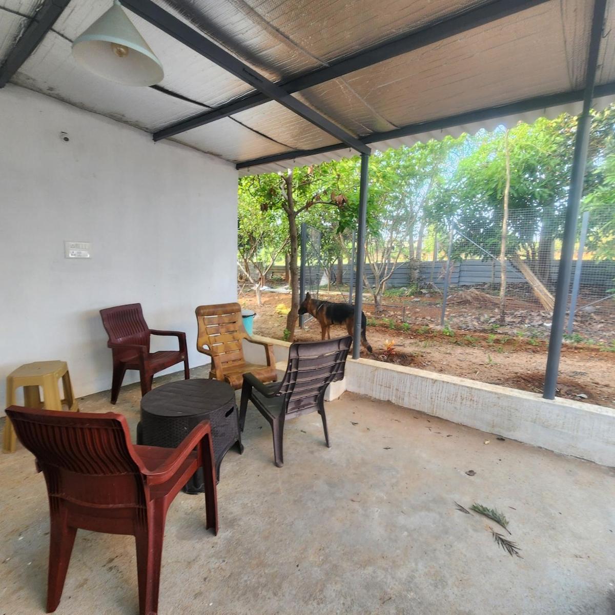 Double Room Park View