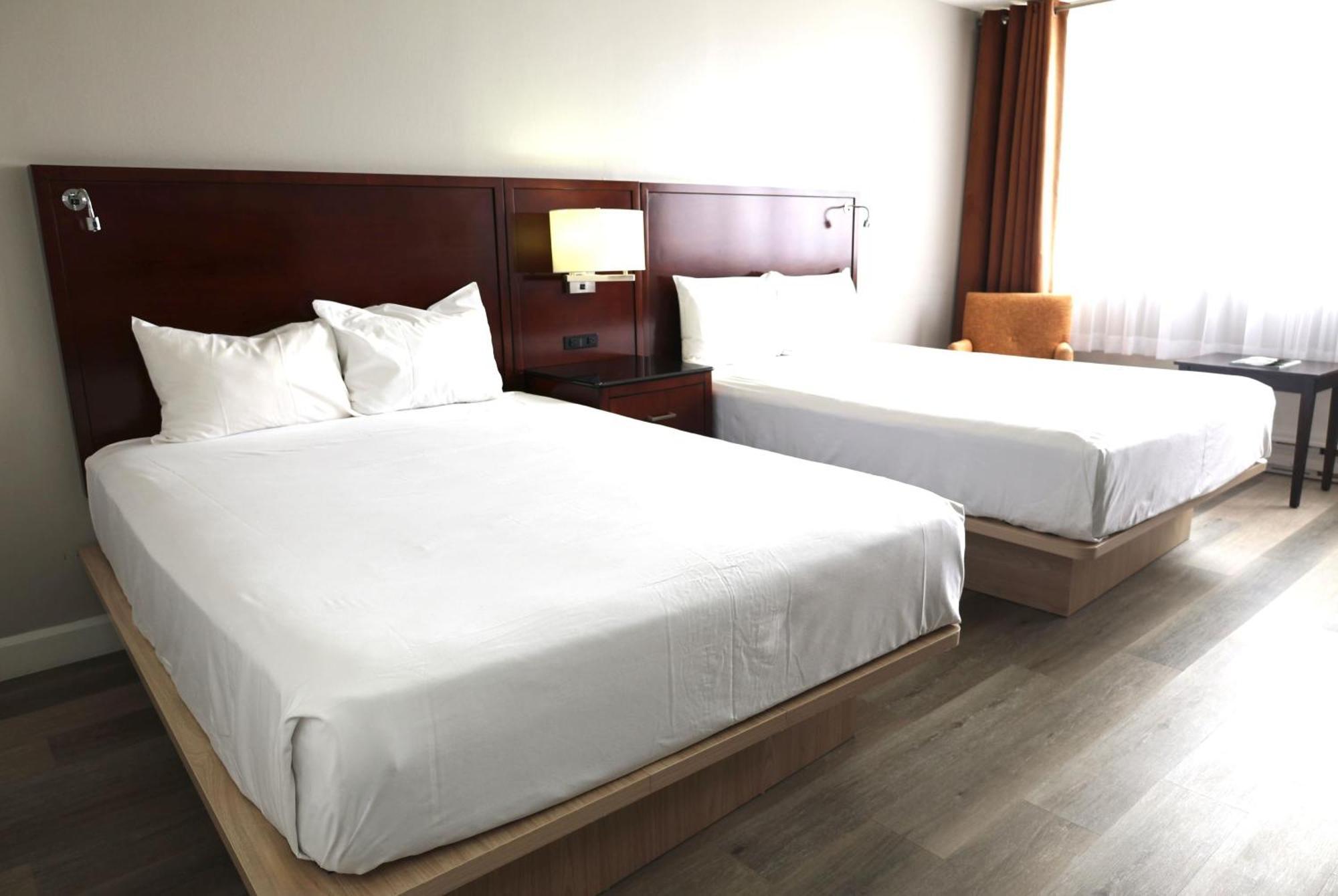 Distinction Queen Room Two Queen Beds
