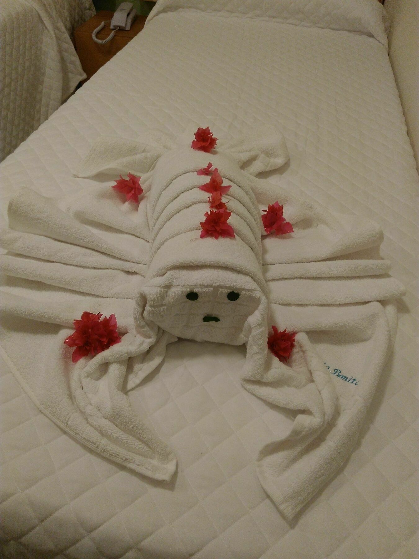 Standard Double Room,944738323:JPEG