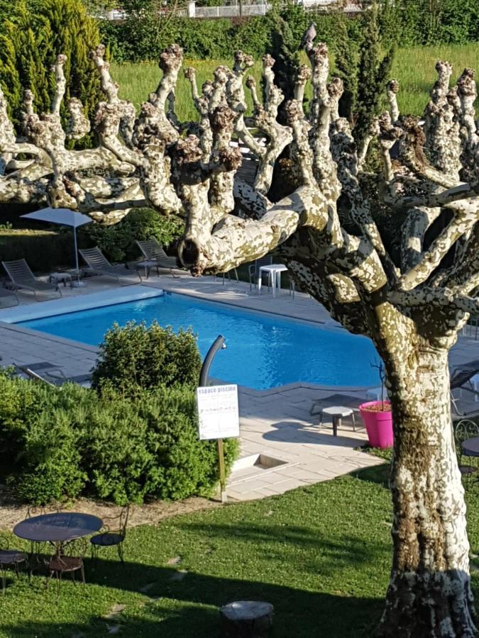 Superior Double Room Garden View