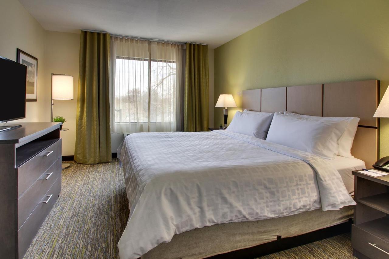 One-Bedroom King Suite with Sofa Bed,981333793:JPEG