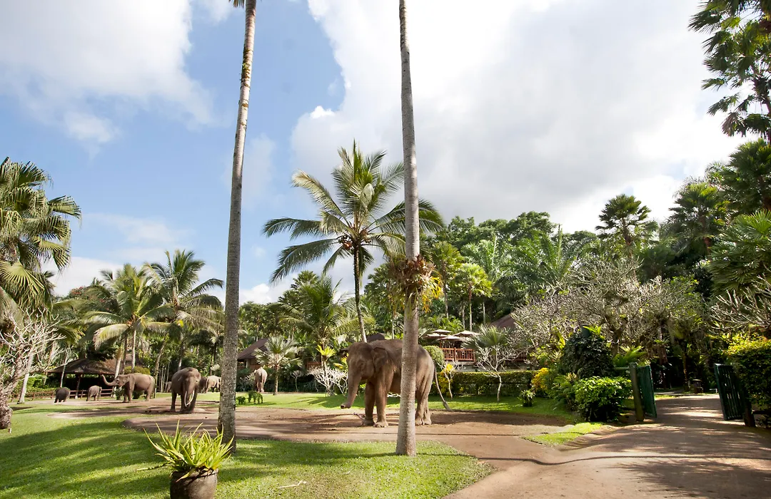 Mason Elephant Lodge-1