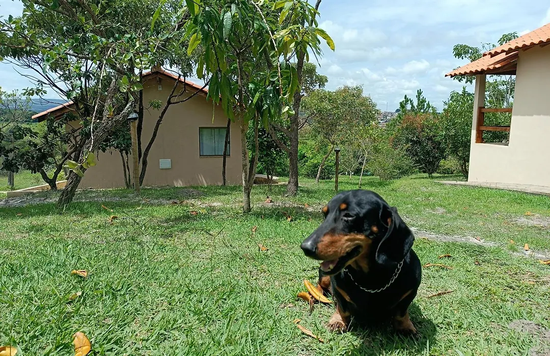 Pousada Toca dos Coelhos - Ambiente Familiar, Natureza e Terapias-1