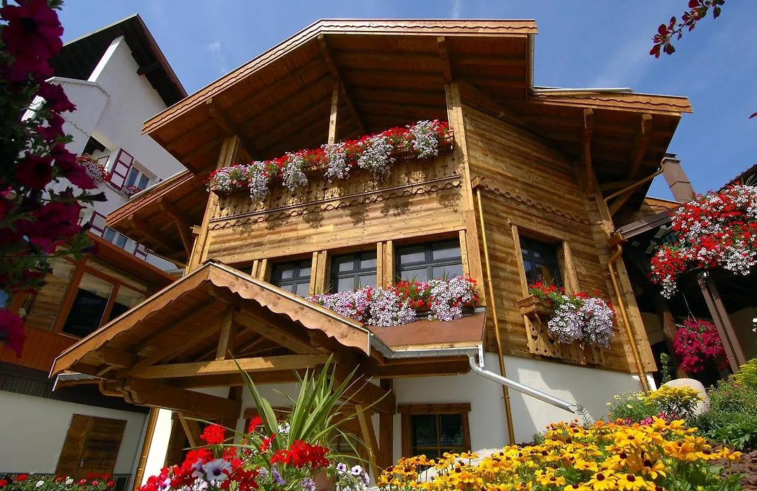 Hotel-Restaurant Les Bas-Rupts, Singuliers Hotel-1