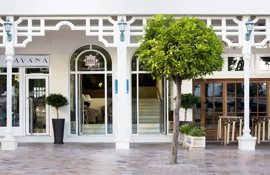 Hotel Plaza Cavana-1