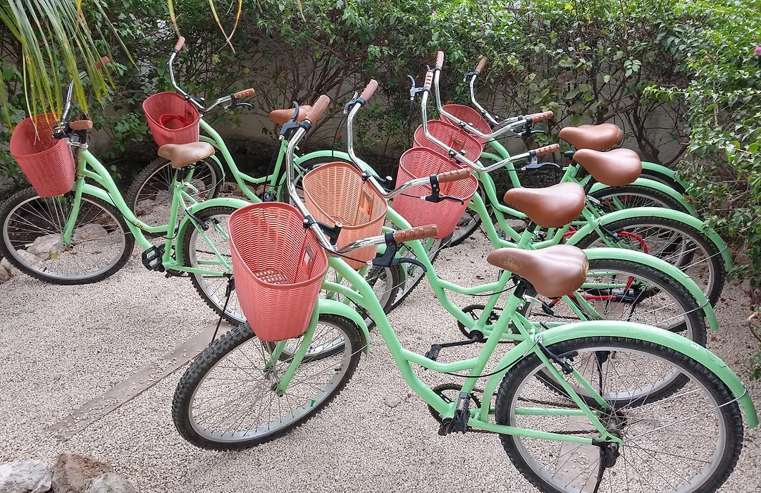 Xscapetulum-1