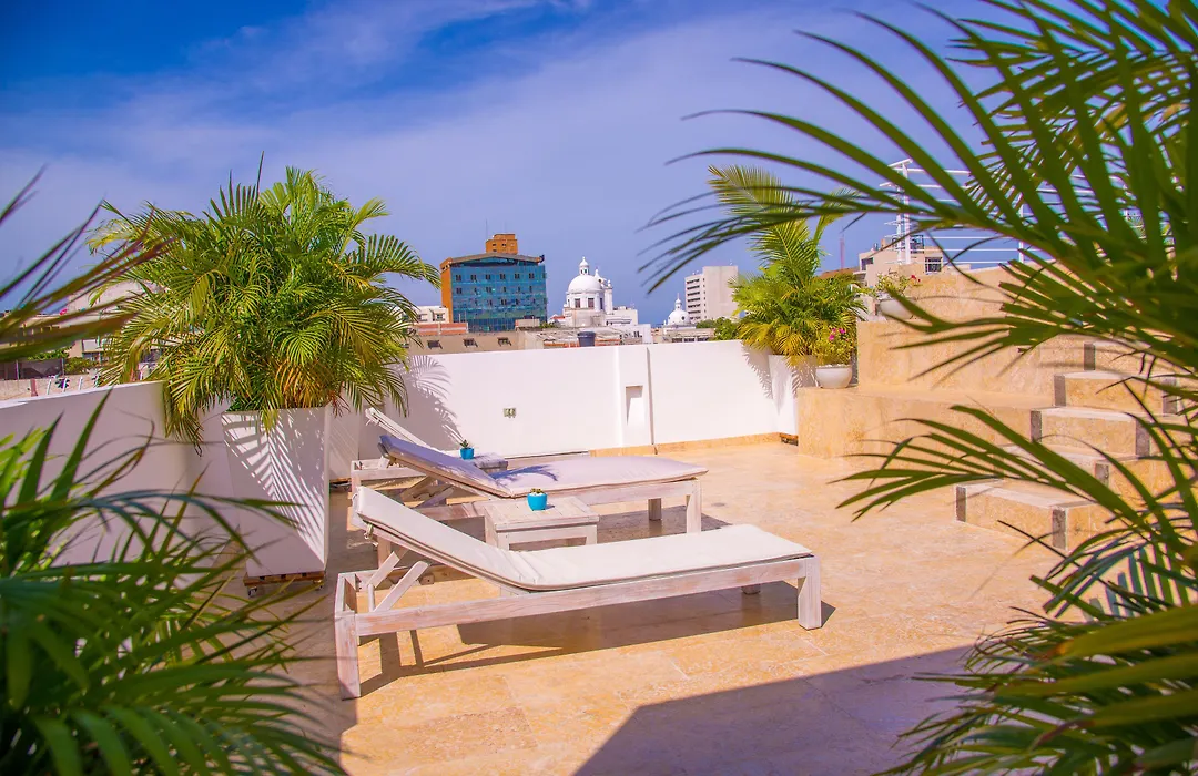 El Cactus Luxury Apartments In Historic Center-1