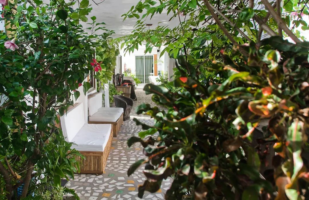 Bungalows Zicatela-1