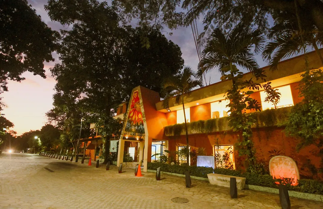 Maya Tulipanes Express-1
