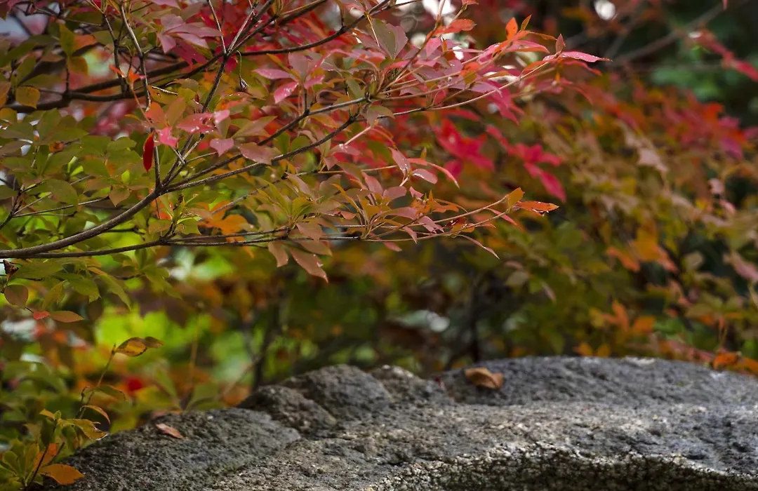 Roku Kyoto, Lxr Hotels & Resorts By Hilton-1