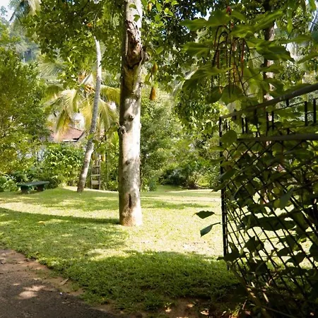 Clove Garden Kandy-2