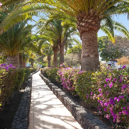 Relaxia Olivina-3
