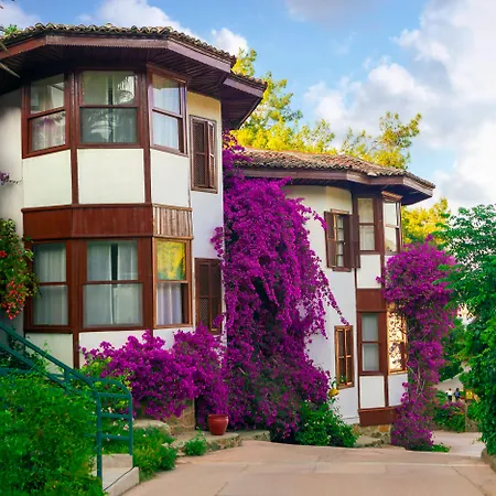 Club & Hotel Letoonia-2