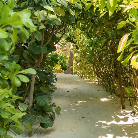 Tago Tulum By G Hotels-2