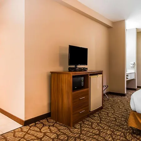Quality Inn & Suites Chesterfield Village-2