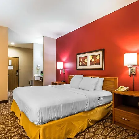 Quality Inn & Suites Chesterfield Village-3