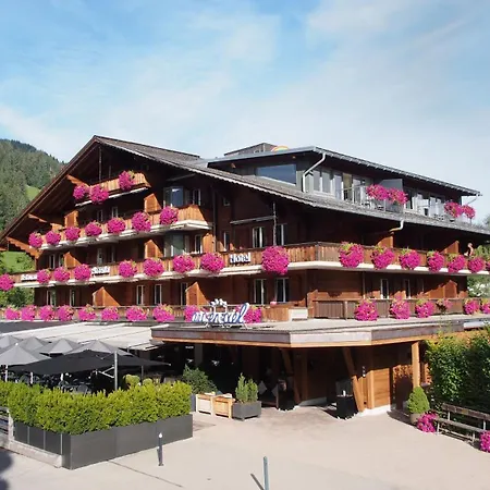 Hotel Arc-en-ciel Gstaad-2