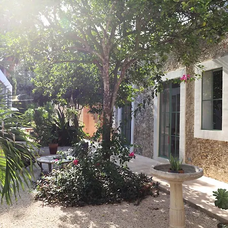 Nuik Casa Tropical-2