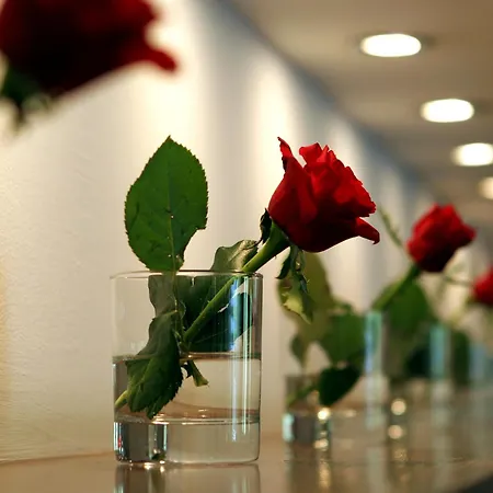 Hotel Antonios-2