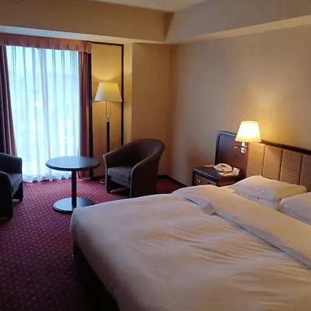 Ana Crowne Plaza Hotel Kyoto By Ihg-3