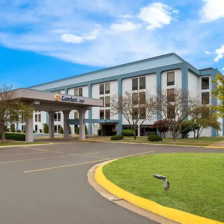 Comfort Inn Cadillac-2