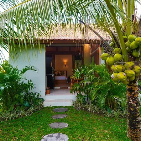 Green Coconut Cottage-2