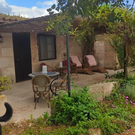 Agroturismo Finca Sant Blai-2