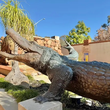 Albury Paddlesteamer-2