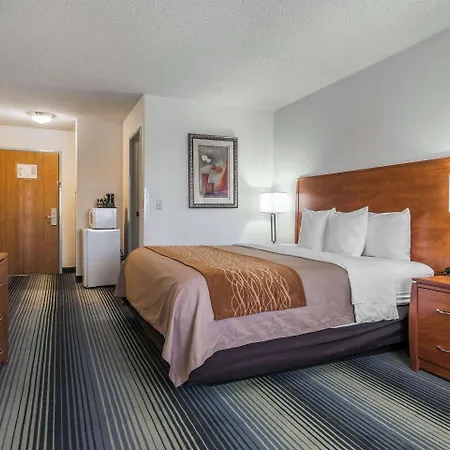 Quality Inn Denver Westminster-2
