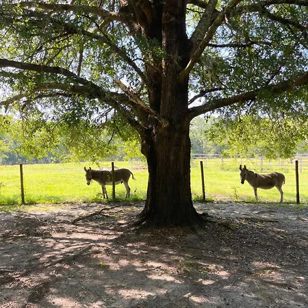Dublin Farm-3