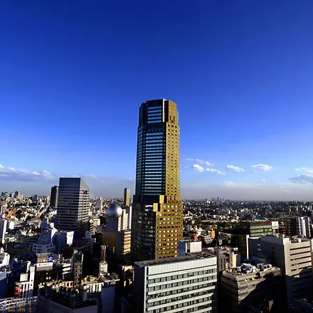 Cerulean Tower Tokyu Hotel, A Pan Pacific Partner Hotel-2
